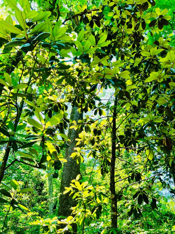 A New Chapter Begins at Elinor&nbsp;Park!