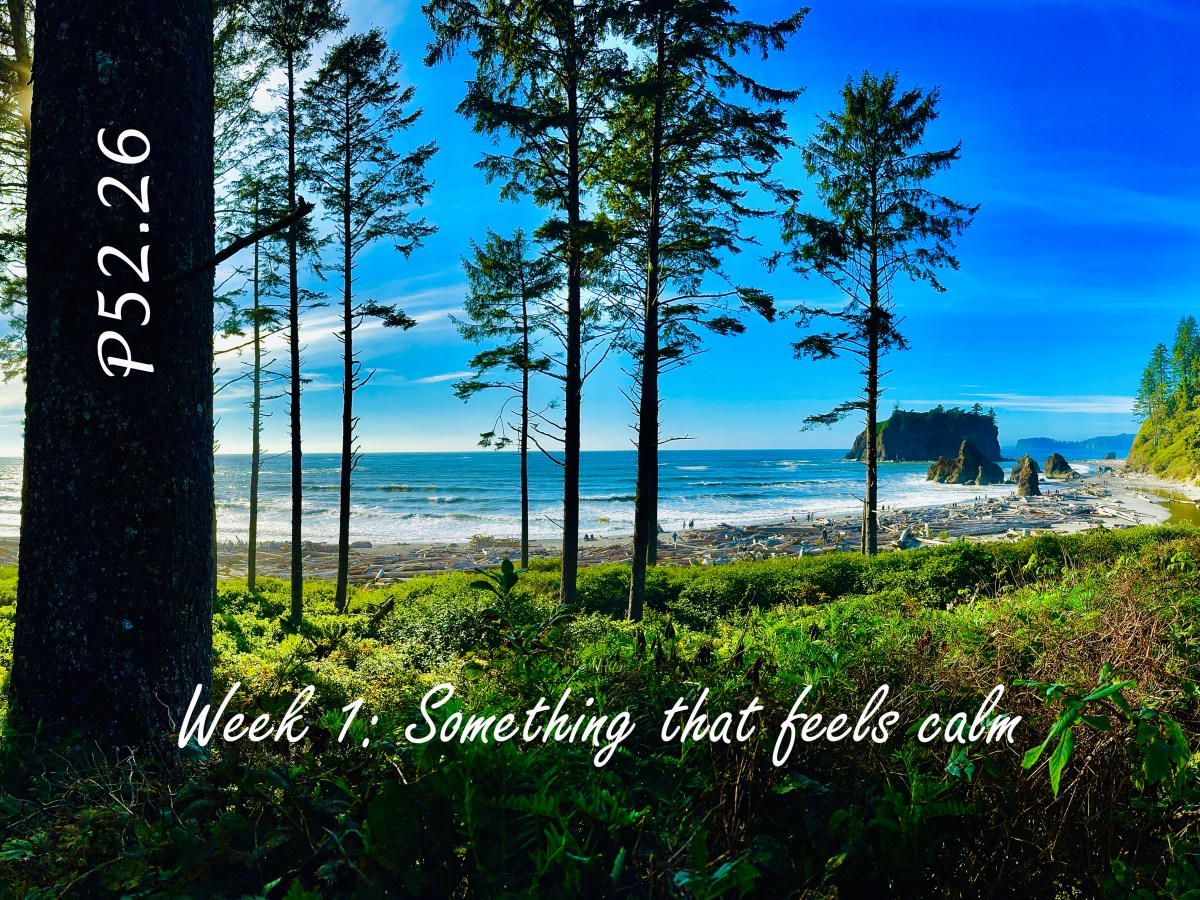 P52.26 – Week&nbsp;1